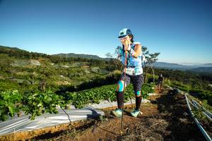 BIB: 9783
                            <button type="button" onclick="openModal(19118123)" class="btn btn-primary btn-sm float-right btn-popup" data-toggle="modal" data-target=".modal-high-quality">
                        <i class="fas fa-shopping-cart"></i> Add to Cart
                    </button>
                                            <button type="button" onclick="isThisMe(19118123, true)" class="btn btn-success btn-sm float-right btn-popup btn-isme hidden" data-toggle="tooltip" data-placement="bottom" title="นี่คือรูปของคุณใช่ไหม คลิกที่นี่เพื่อเอาเข้าอัลบั้ม">
                        <i class="fas fa-plus"></i> Add to album
                    </button>
                    <button type="button" onclick="isThisMe(19118123, false)" class="btn btn-warning btn-sm float-right btn-popup btn-isnotme hidden">
                        <i class="fas fa-ban"></i> Remove from album
                    </button>